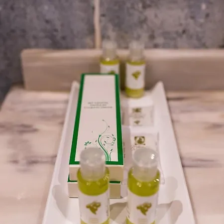 玛丽亚·曼努埃拉酒店暨spa 酒店